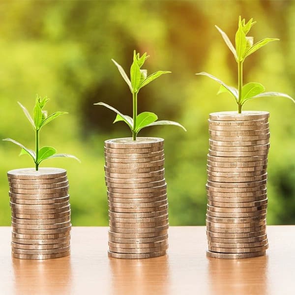 Protezione del Patrimonio e Trust