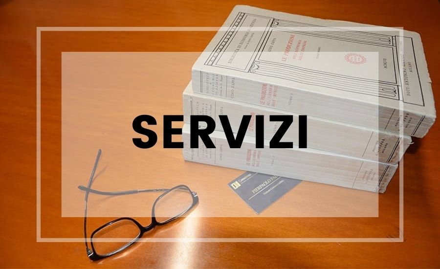 Servizi di Consulenza Falchi